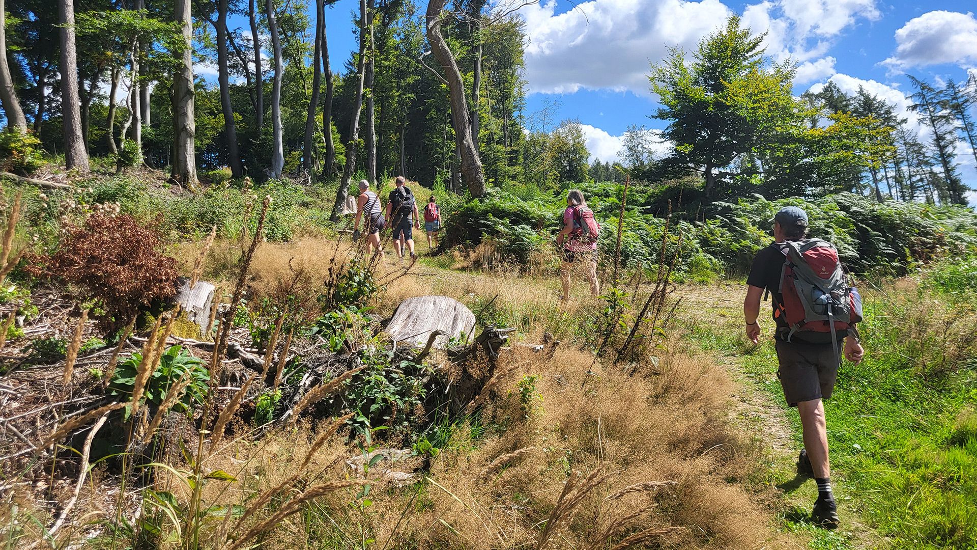 Wander im kreis herford 2025 web