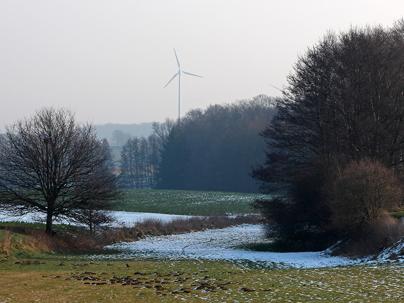 Waldbericht Kreis Herford Roedinghausen