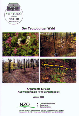 teuteburgerwaldgross