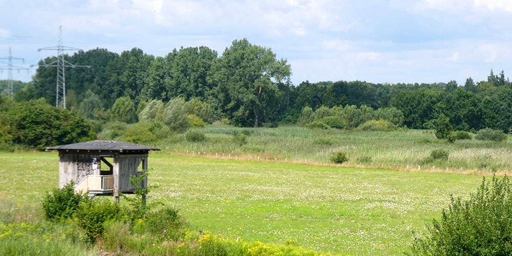 Aussichtskanzel 1a web