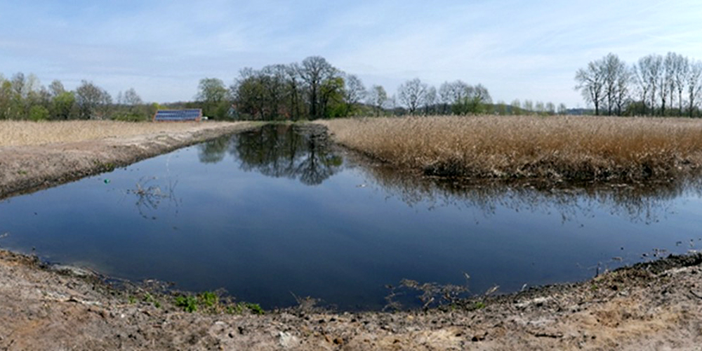 wasserflaeche 1 web