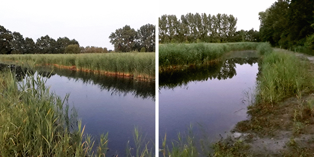 wasserflaeche 2 3 web